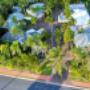 Beachfront Resort