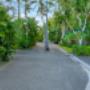 Beachfront Resort