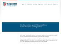 Burns Sieber Chartered Accountants