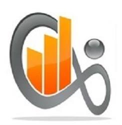 Business Wise