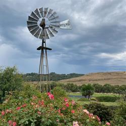 Daysy Hill Country Cottages