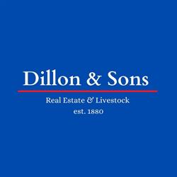 Dillon & Sons Pty Ltd