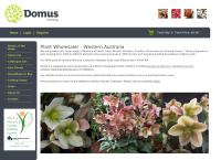 Domus Nursery's website