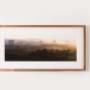 Conservation Picture Framing