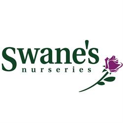 Swanes Nursery