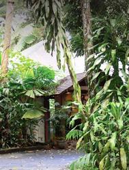 Daintree Heritage Lodge & SPA