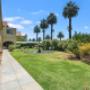 Hotel courtyard