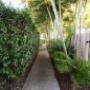 Walking path