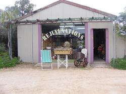 Rejuvenations