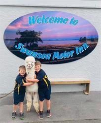 Golden Chain Swansea Motor Inn