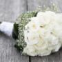Beautiful fresh flowers