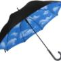 Cloud Umbrella