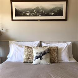 Jindy Inn