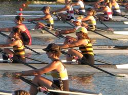 Balmain Rowing Club