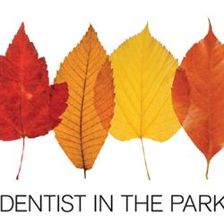Dentist in the Park