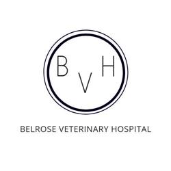 Belrose Veterinary Hospital