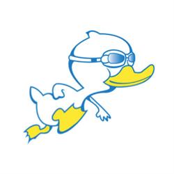 Terrey Hills Swim School