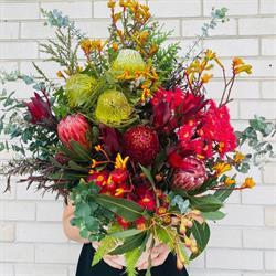 Beautiful Blooms Of Kurri