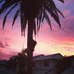 Byron Bay Apartments