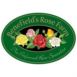 Benefield's Rose Farm