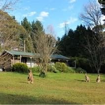 Cedar Lodge Holiday Cabins