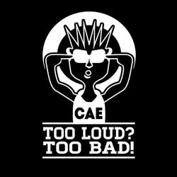 Car Audio Excellence Penrith