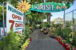 Kirisit Nursery