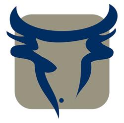 Bull Group Pty Ltd