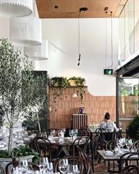 Design Nest