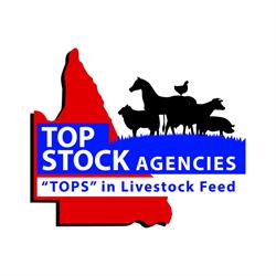 Top Stock Agencies