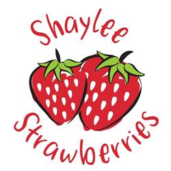 Shaylee Strawberry Farms