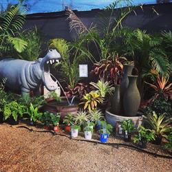 Springvale Garden Centre