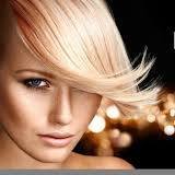 Bay Terrace Hair Design