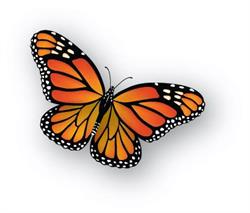Ttr Print Management Pty Ltd
