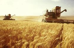 Harvest Hotline Australia Pty Ltd