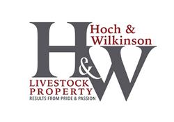 Hoch & Wilkinson