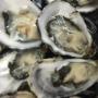Uploaded by visitor on 15/11/2016 - Fresh Coffin Bay Oysters