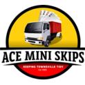 Ace Mini Skips