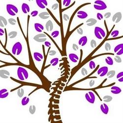 Pittsworth Chiropractic Centre