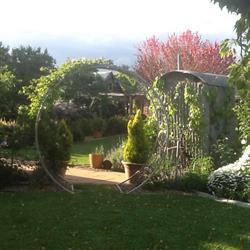 Roseneath Cottage - Bed & Breakfast