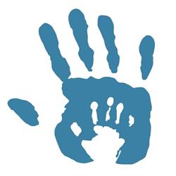 Terrigal Chiropractic & Natural Therapies