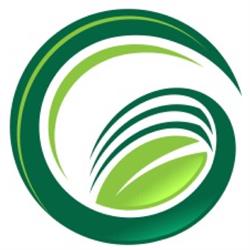 Green Life Turf