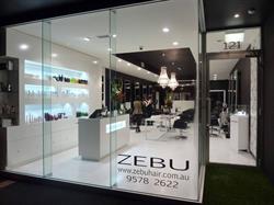 Zebu Hair