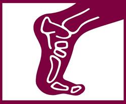 Glandore Podiatry Clinic
