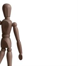 Coromandel Physiotherapy Clinic