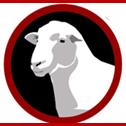 Rowallan Poll Dorset Stud