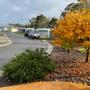 Cabins & Sites - Autumn