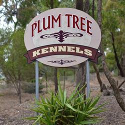 Plum Tree Kennels & Cattery