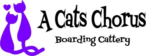 A Cat's Chorus