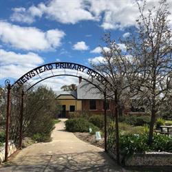 Newstead Primary School